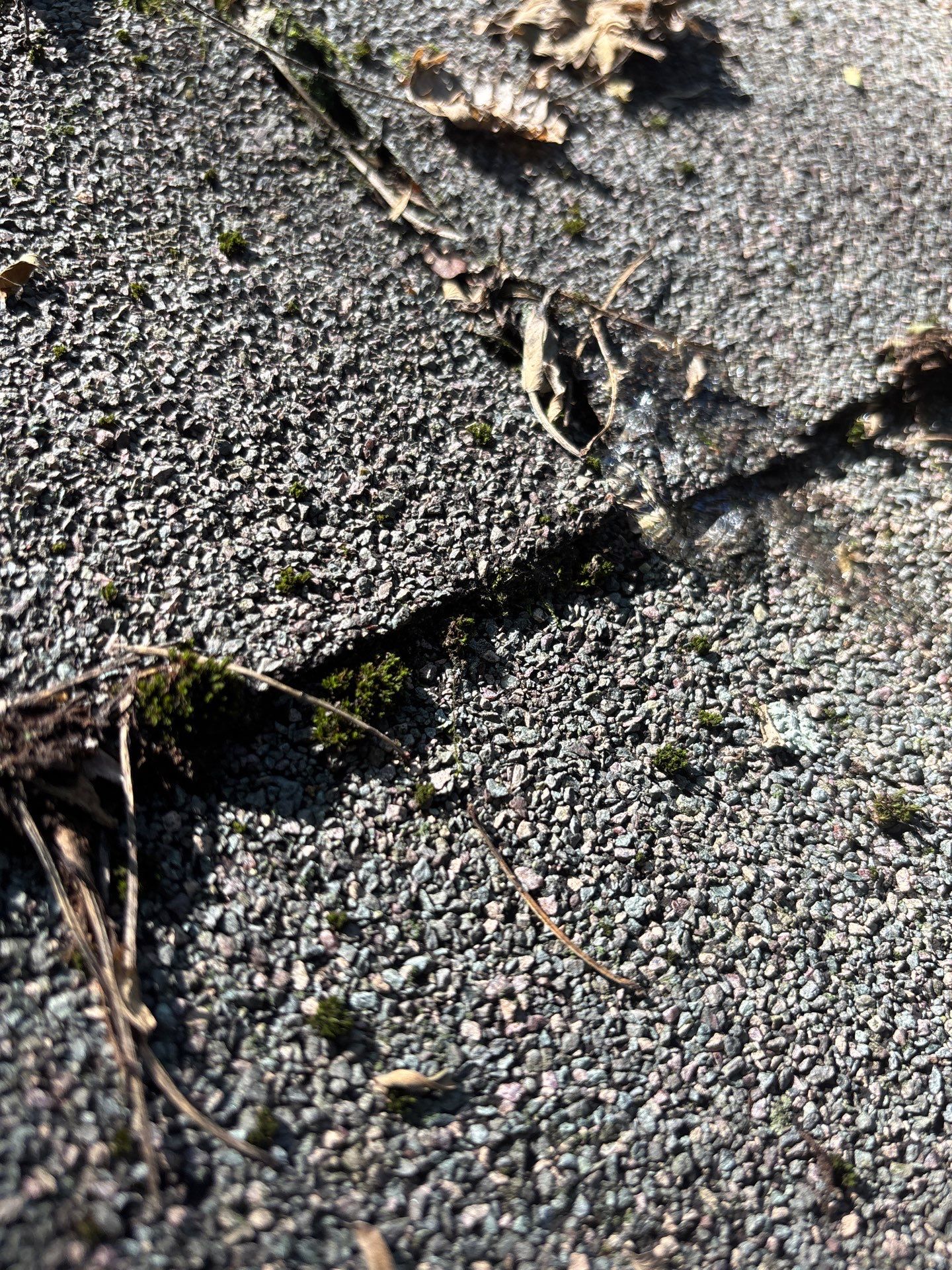 Project in Richmond by Roof Maxx of Midlothian