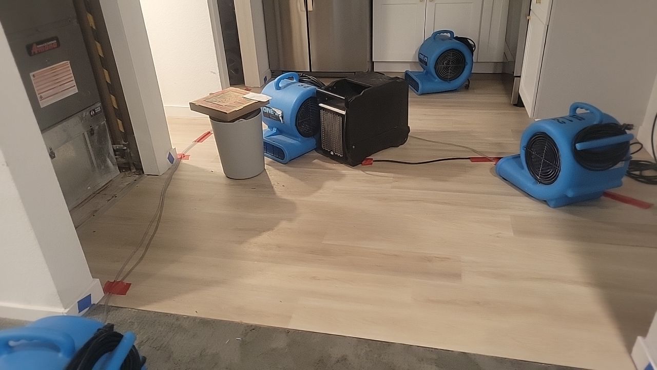 Water Damage by Accountable Home Services