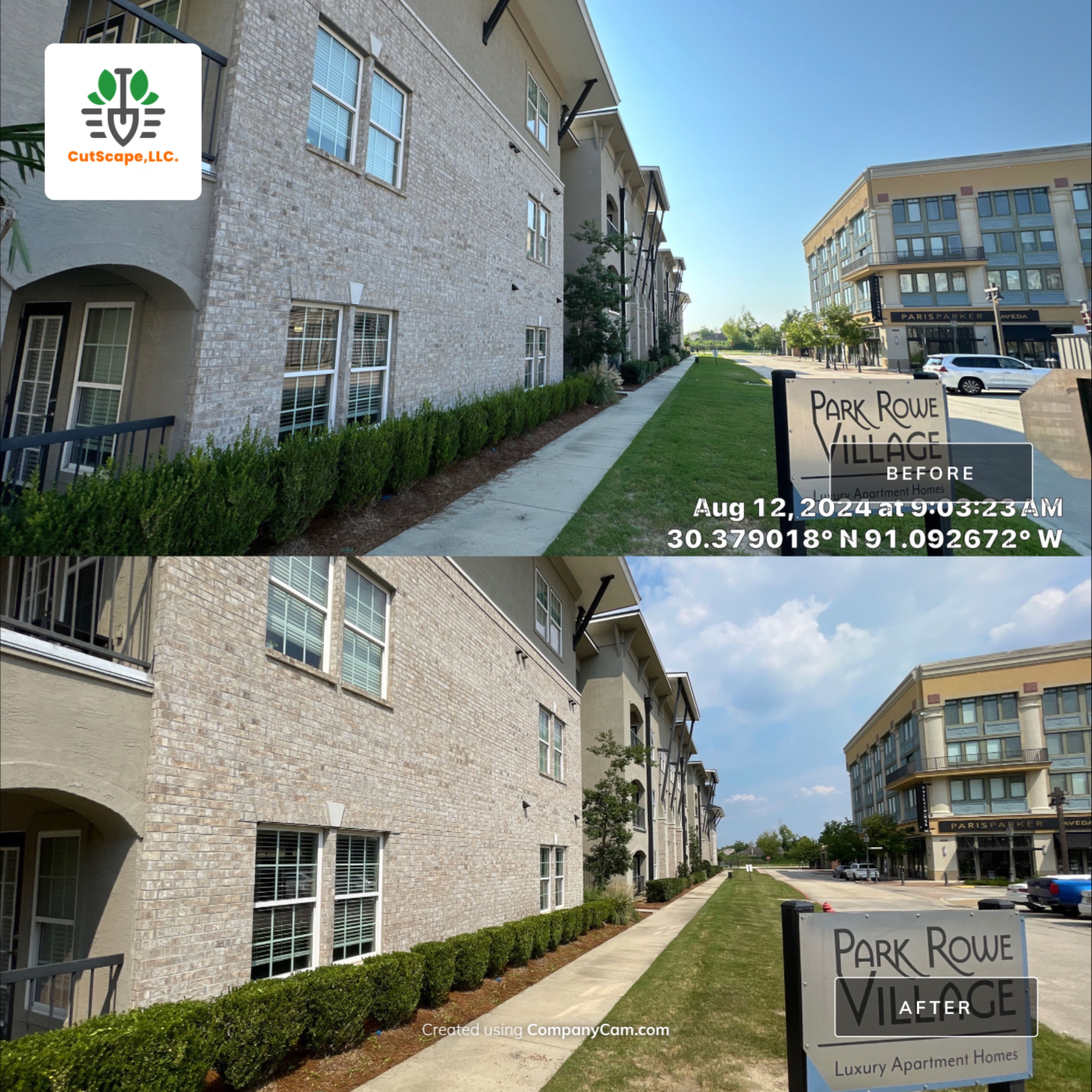 MULTI FAMILY PROPERTY: HEDGE TRIM / BED CLEAN by CutScape, LLC.