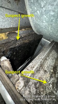 Air Duct and Dryer Vent Cleaning Encapsulation in Clermont