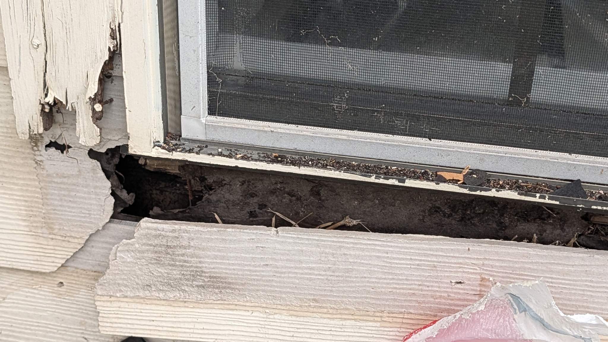 Project in Spring by Roof Guard And Construction