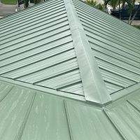 24ga 1" Nail-Strip Patina Green  by Total Roofing System The Metal Roof Experts