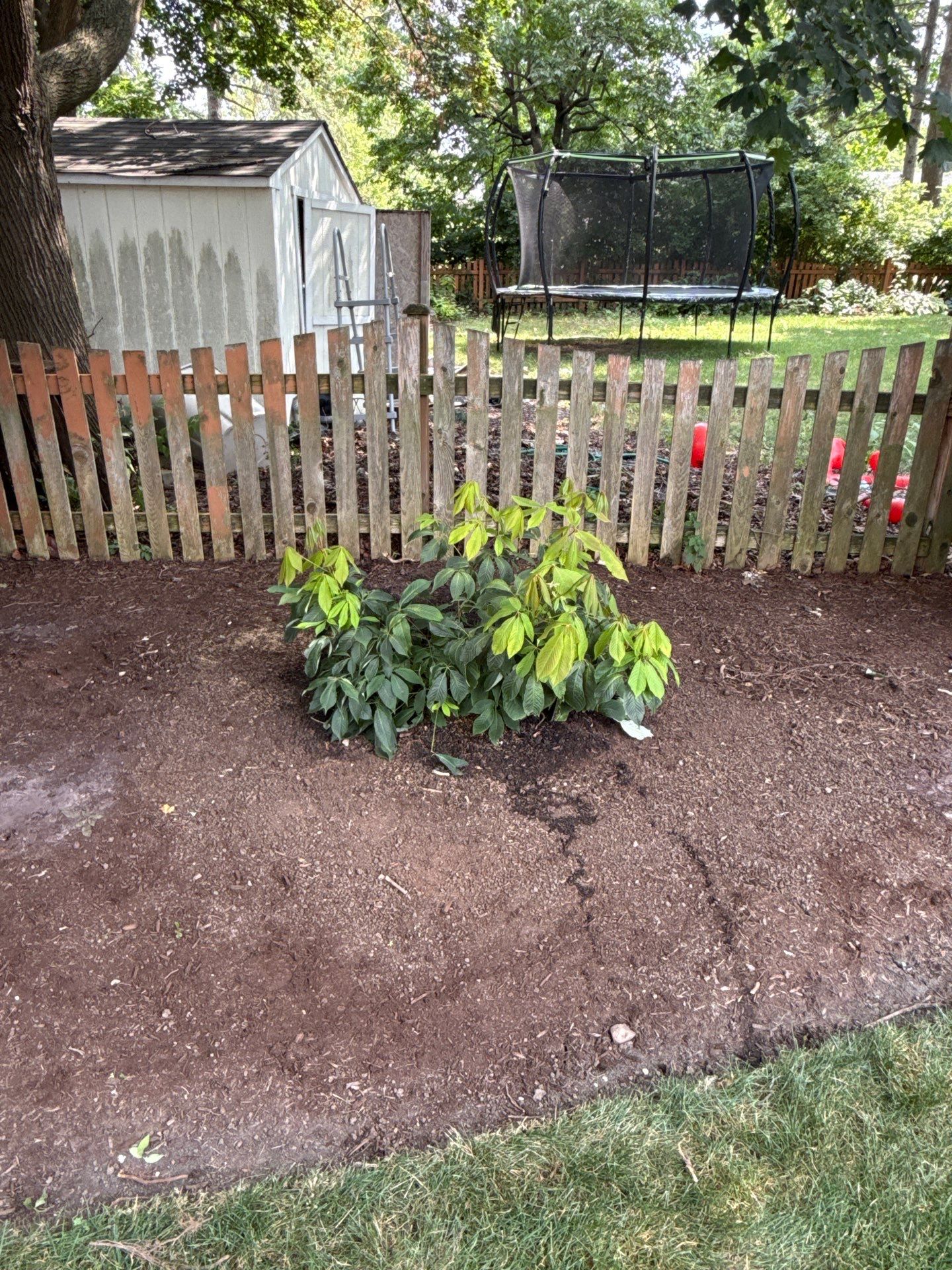 Scott M. - Arlington Heights, IL by A&N
