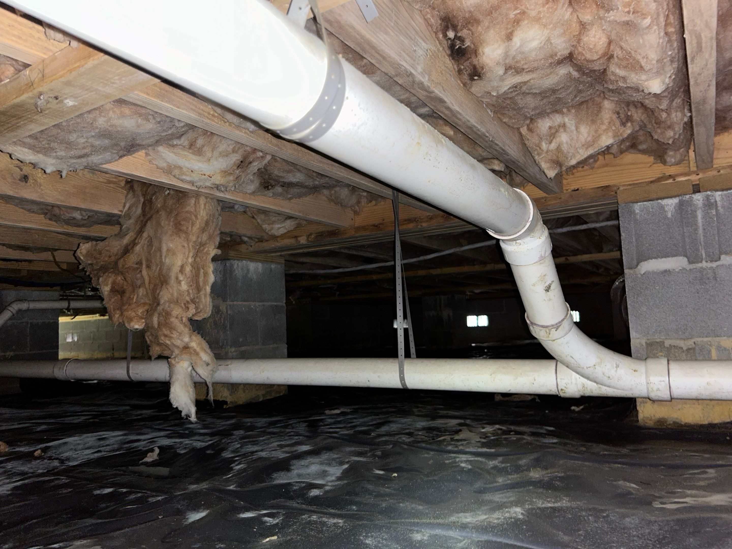 Premium Encapsulation with 20Mil, Borafoam insulation and Light System. by Impact Crawlspace