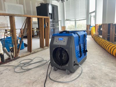 Mold Remediation Job in Cypress