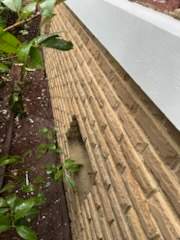 Project in Temple by Rhino Roofing and General Contracting, LLC