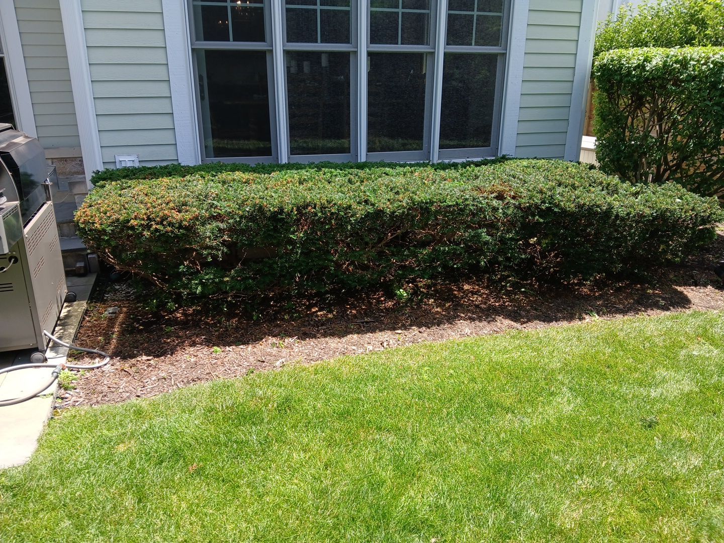 Lisa C. - Arlington Heights, IL by A&N