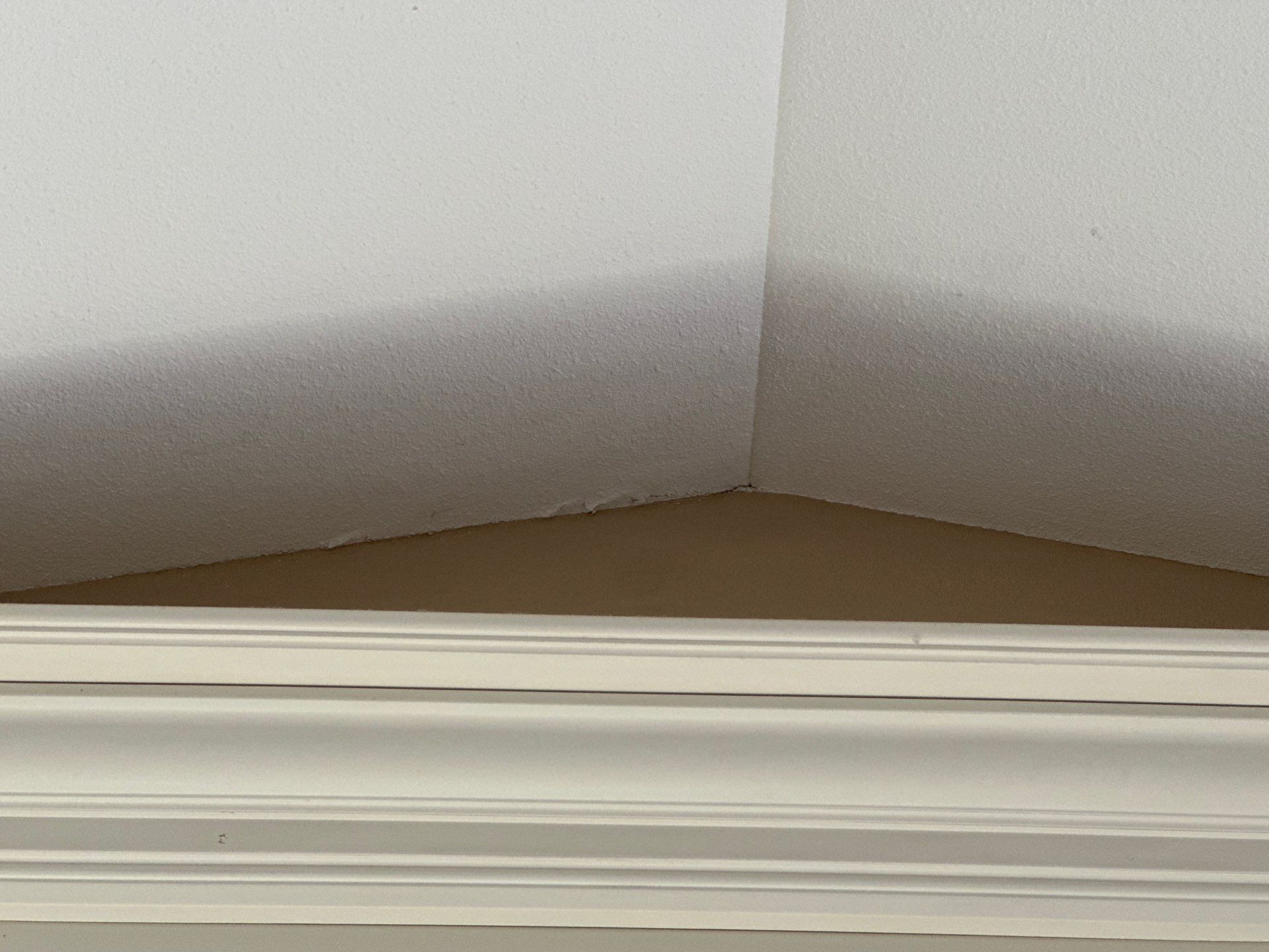 Walls and Corners Finishing by OCS Contracting Services