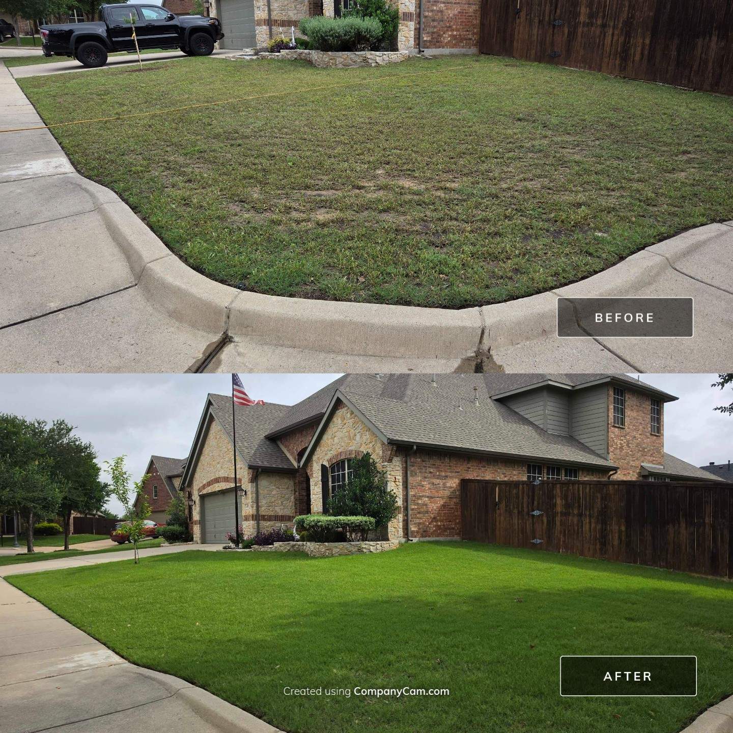 One Year on Treatments by Peterson’s