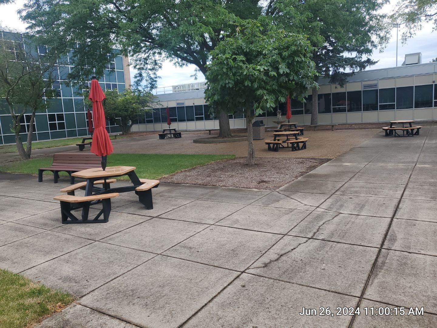 concrete using Algaecide, soft wash soap by Northern Power Washing LLC.