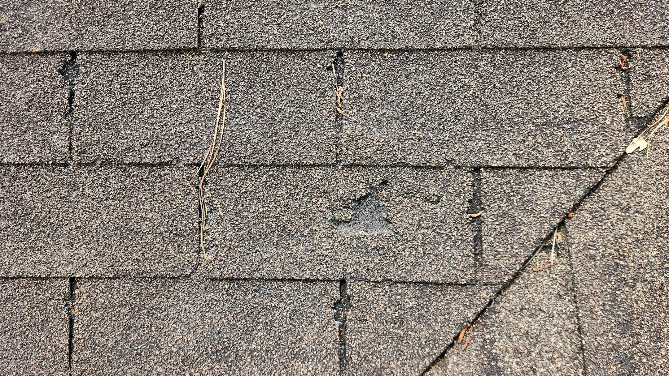Residential Reroof: 29 GA. Colored Residential Panel by Hostetler Roofing