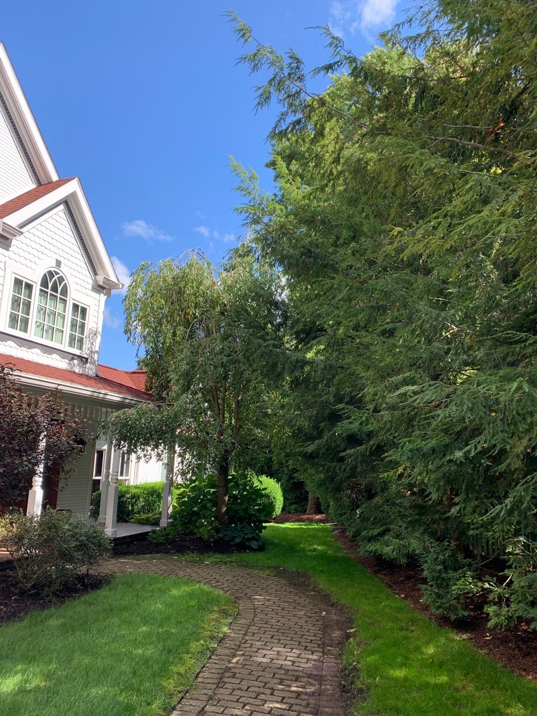 Tree Trimming using Tree Pruing by Mike Jones & Sons Tree Service LLC 