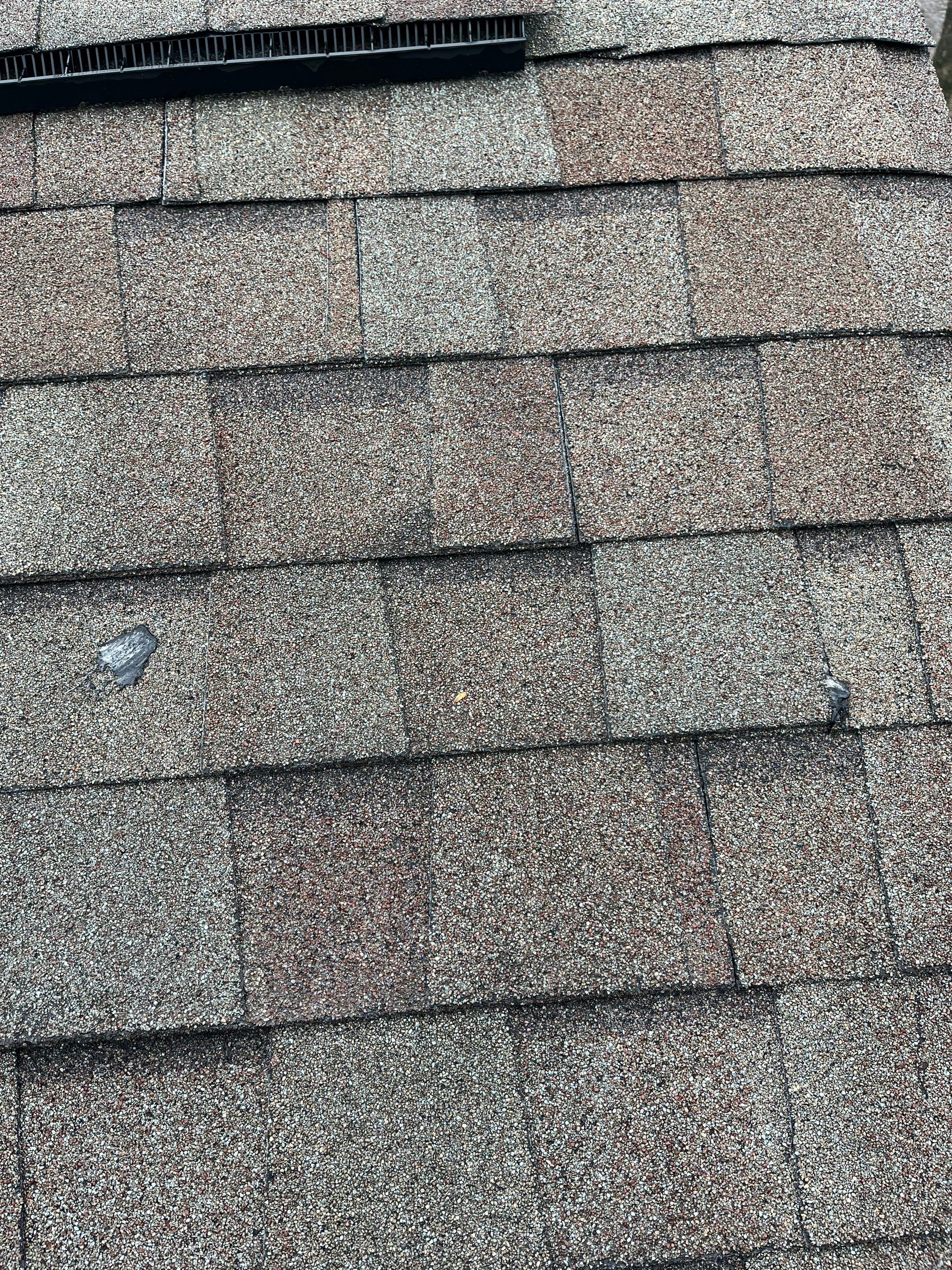 Architectural Shingle Roof Replacement and Skylight Installation in Hot Springs Village by Temple Roofing and Exteriors