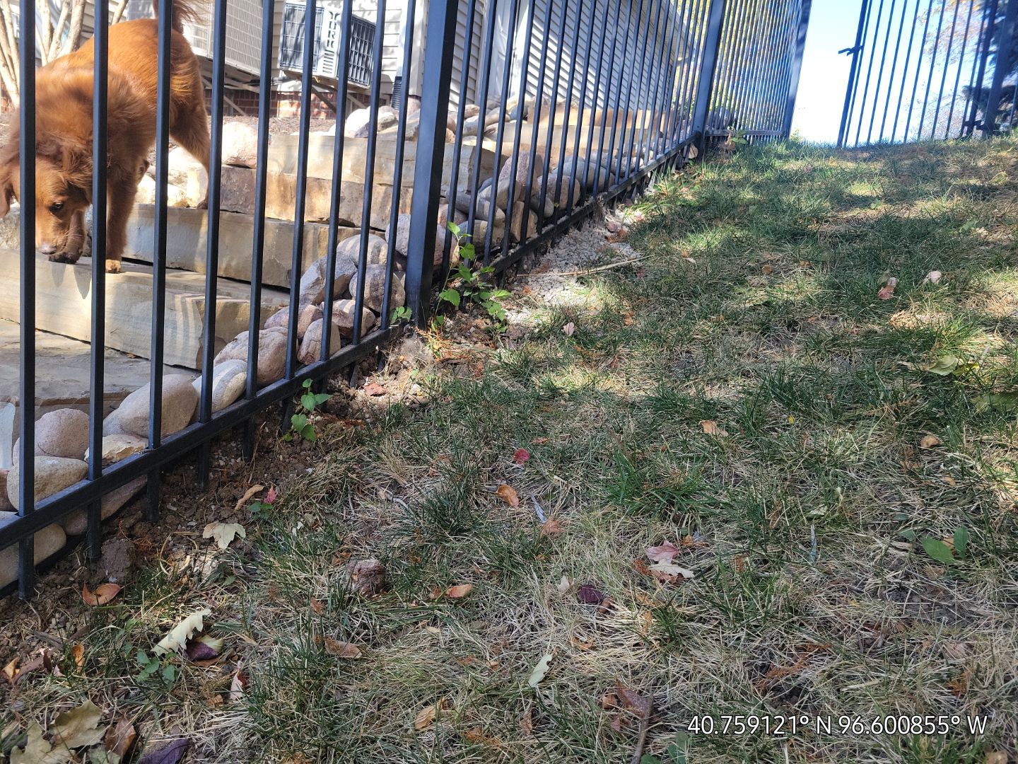 Updated Stone Stepper Path by New Horizon Landscapes