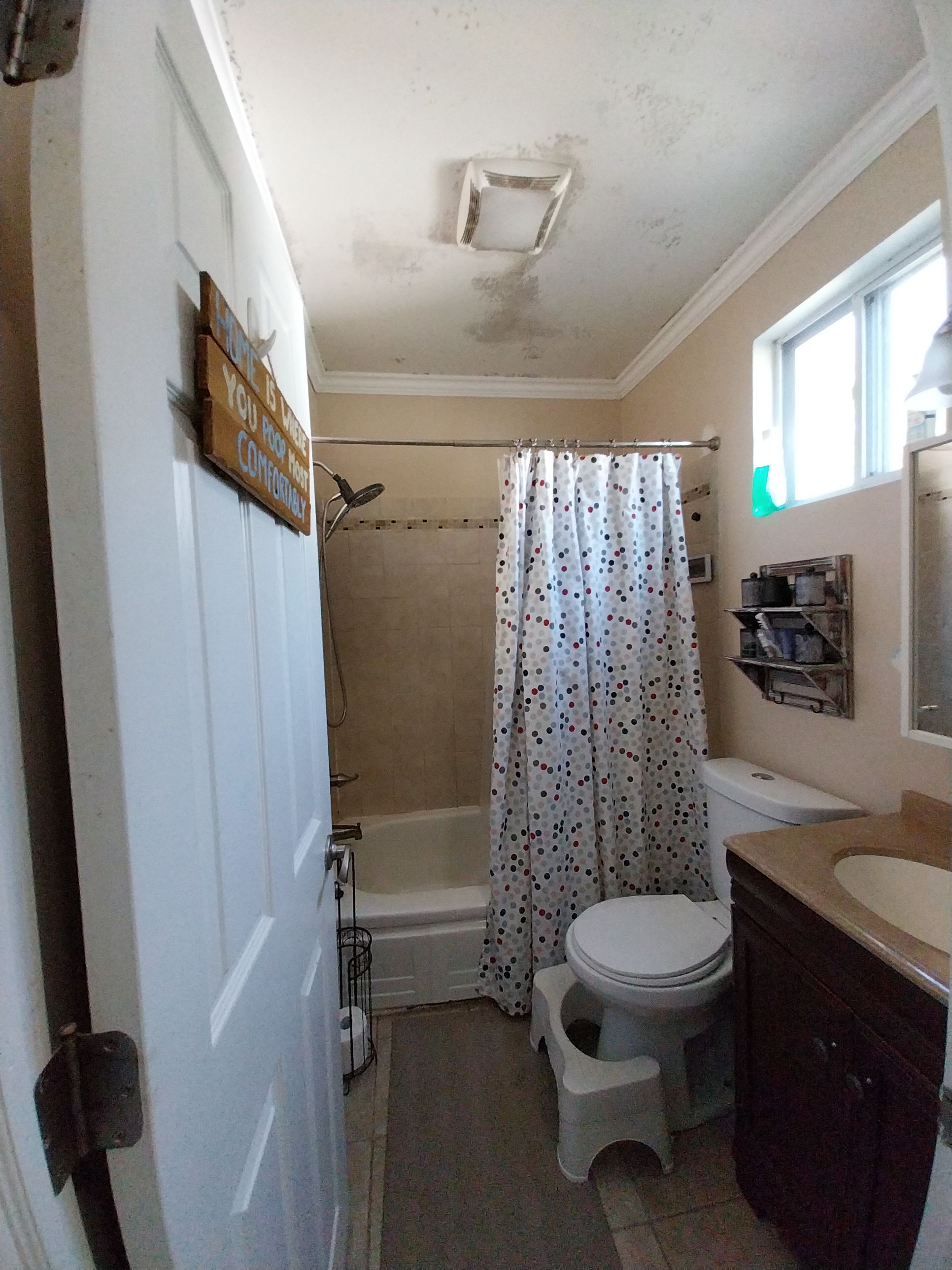 Bathroom Remodel using Sherwin Williams Premium ceiling paint by Laser Focused Solutions LLC