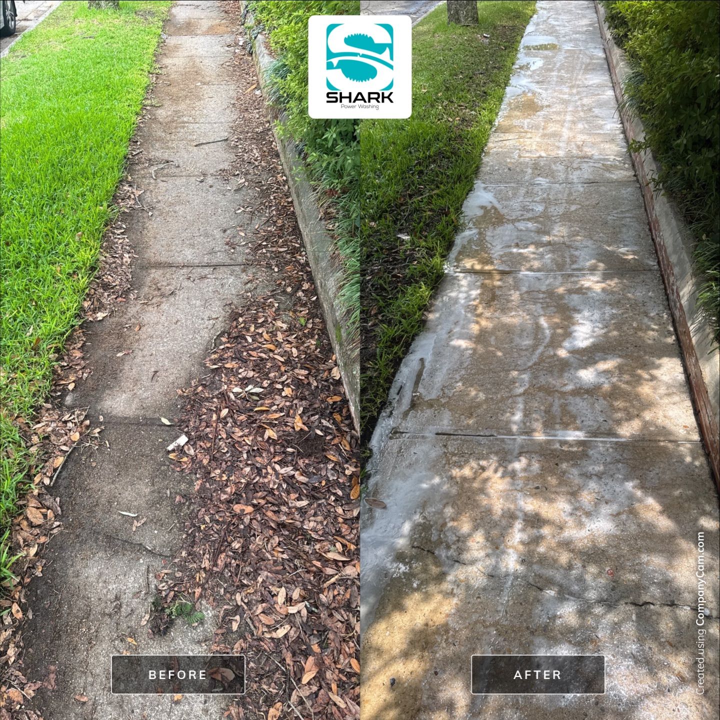 House washing in Wilmington by Shark Power Washing