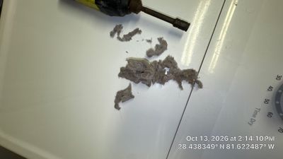 Dryer Vent Lint Removal — Winter Garden