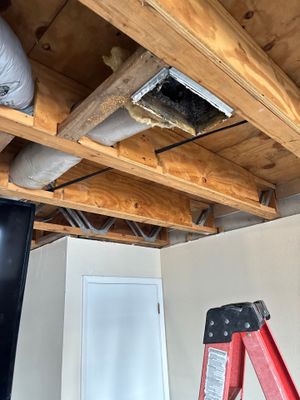 Flood Damage Cleanup — Bonita Springs, FL