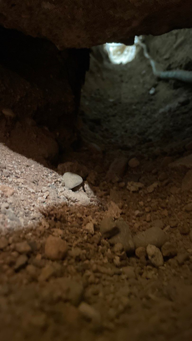 Basement Waterproofing in Edina by Waterproofing Northeast