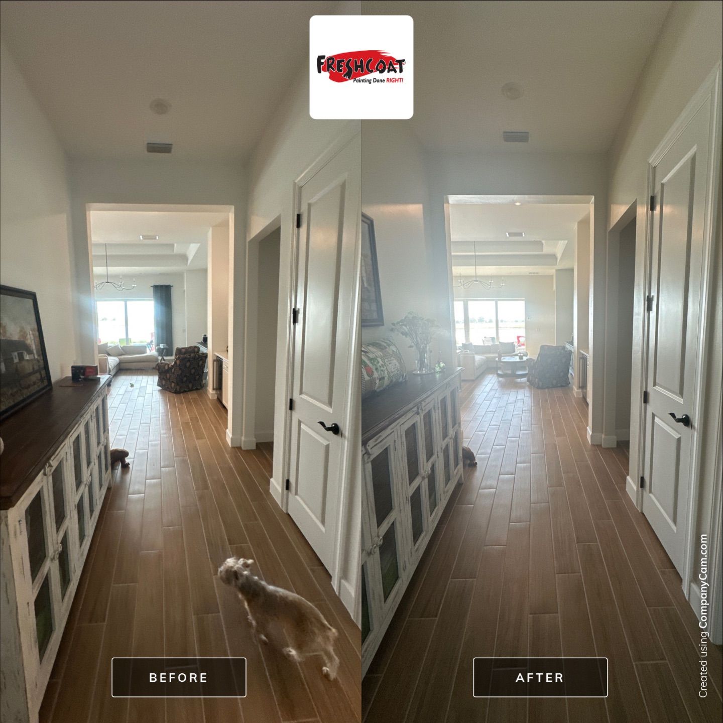 Dara Leichter - Interior by Fresh Coat Painters North Fort Myers & Punta Gorda