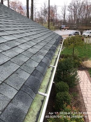 Comprehensive Residential Gutter Cleaning and System Flush in Wayne