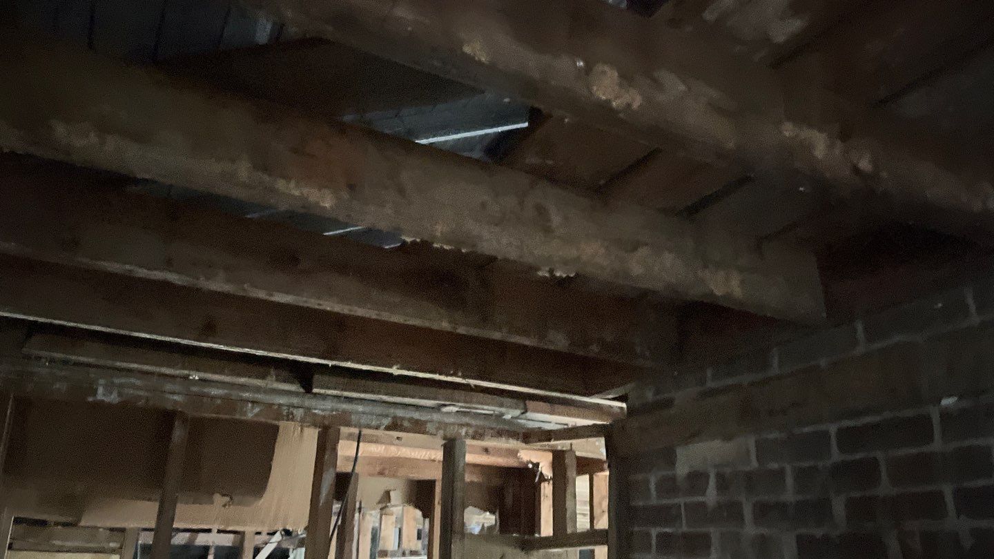 Fire Damage/Structural Cleaning with Hydroxyl Machine by ANR Restoration