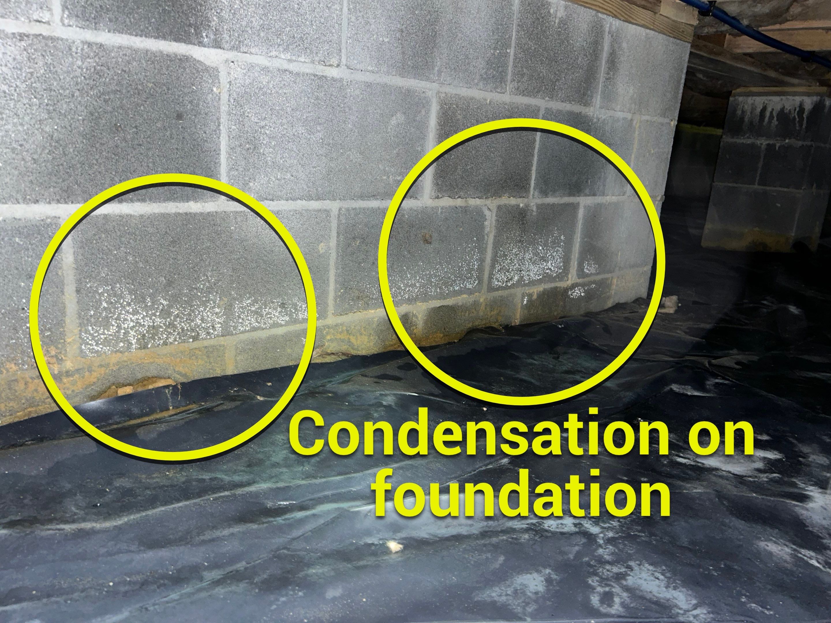 Premium Encapsulation with 20Mil, Borafoam insulation and Light System. by Impact Crawlspace