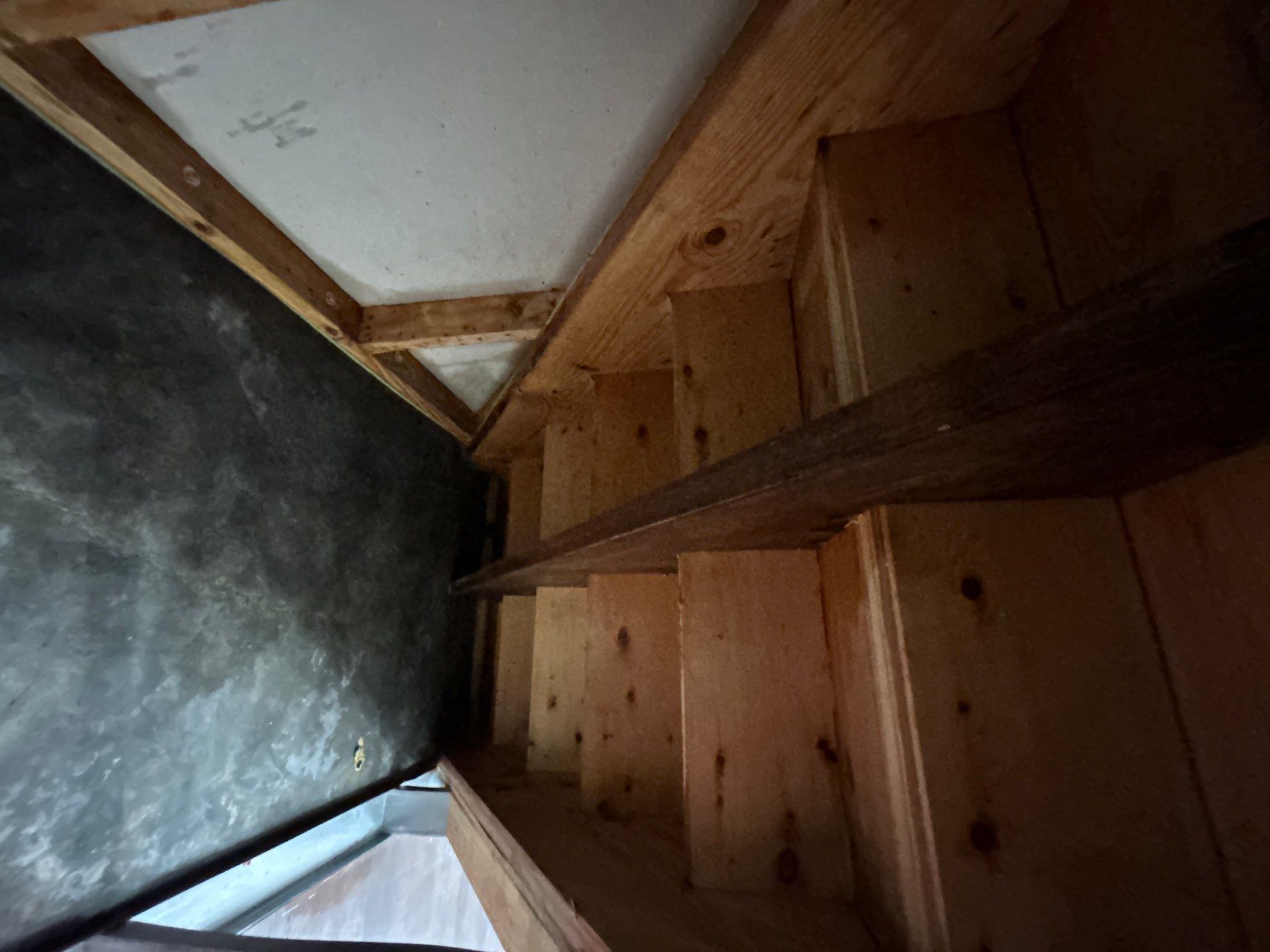 Stansell - water and mold photos  by THE RAPID TEAM