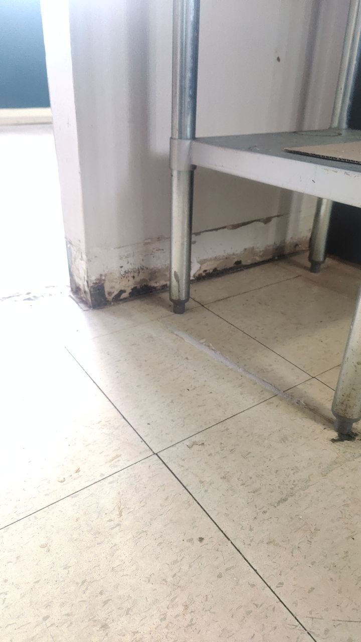 Mold Remediation by Accountable Home Services