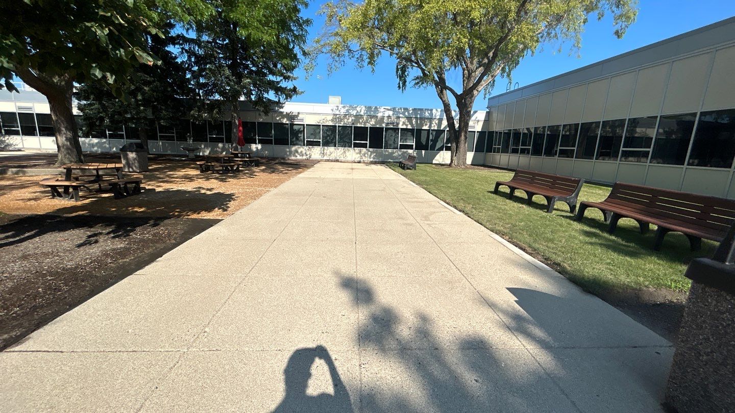 concrete using Algaecide, soft wash soap by Northern Power Washing LLC.