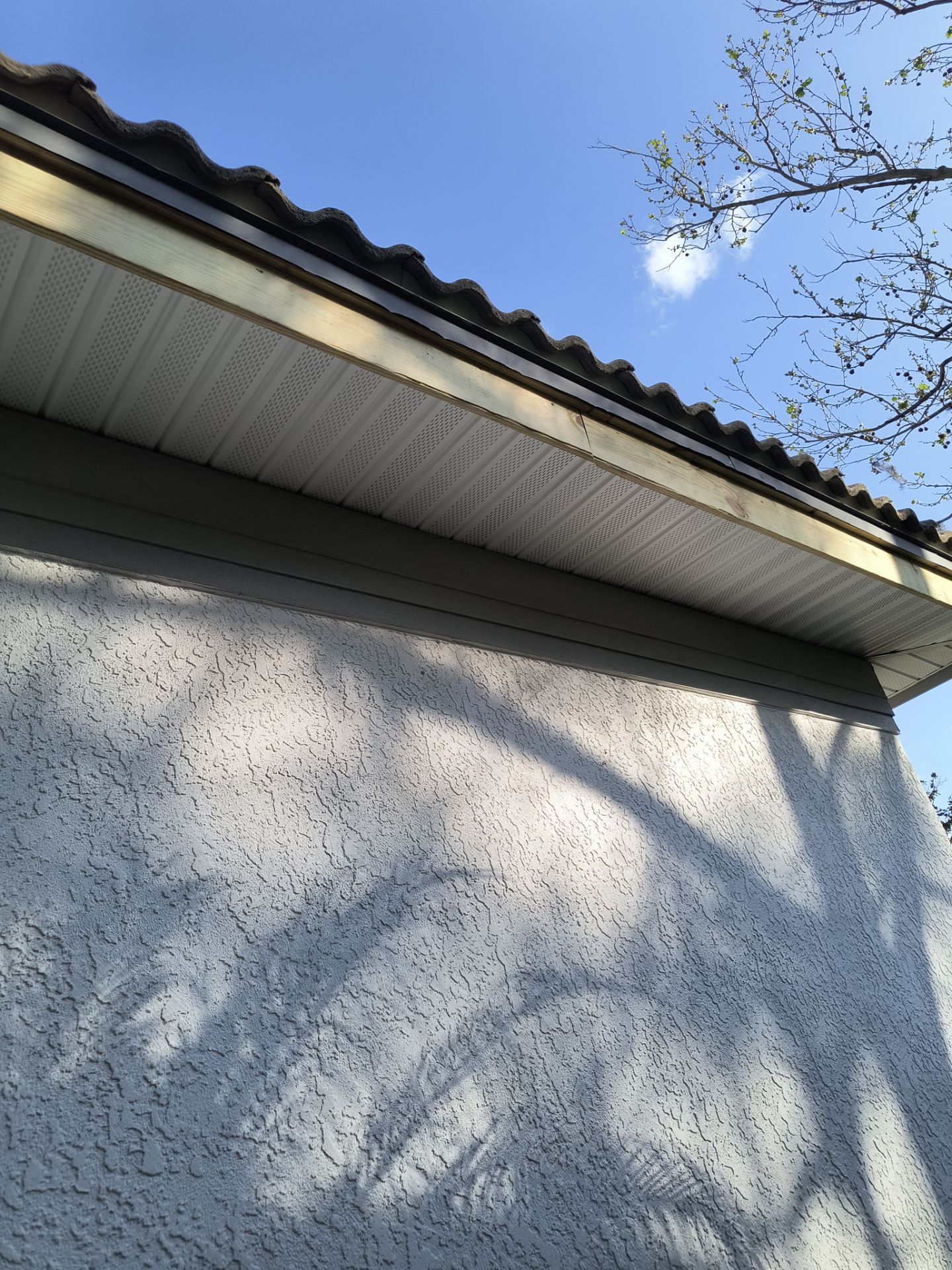 Complete Roofline Upgrade with Soffit, Fascia & Gutters Tampa FL by Gutter Professors