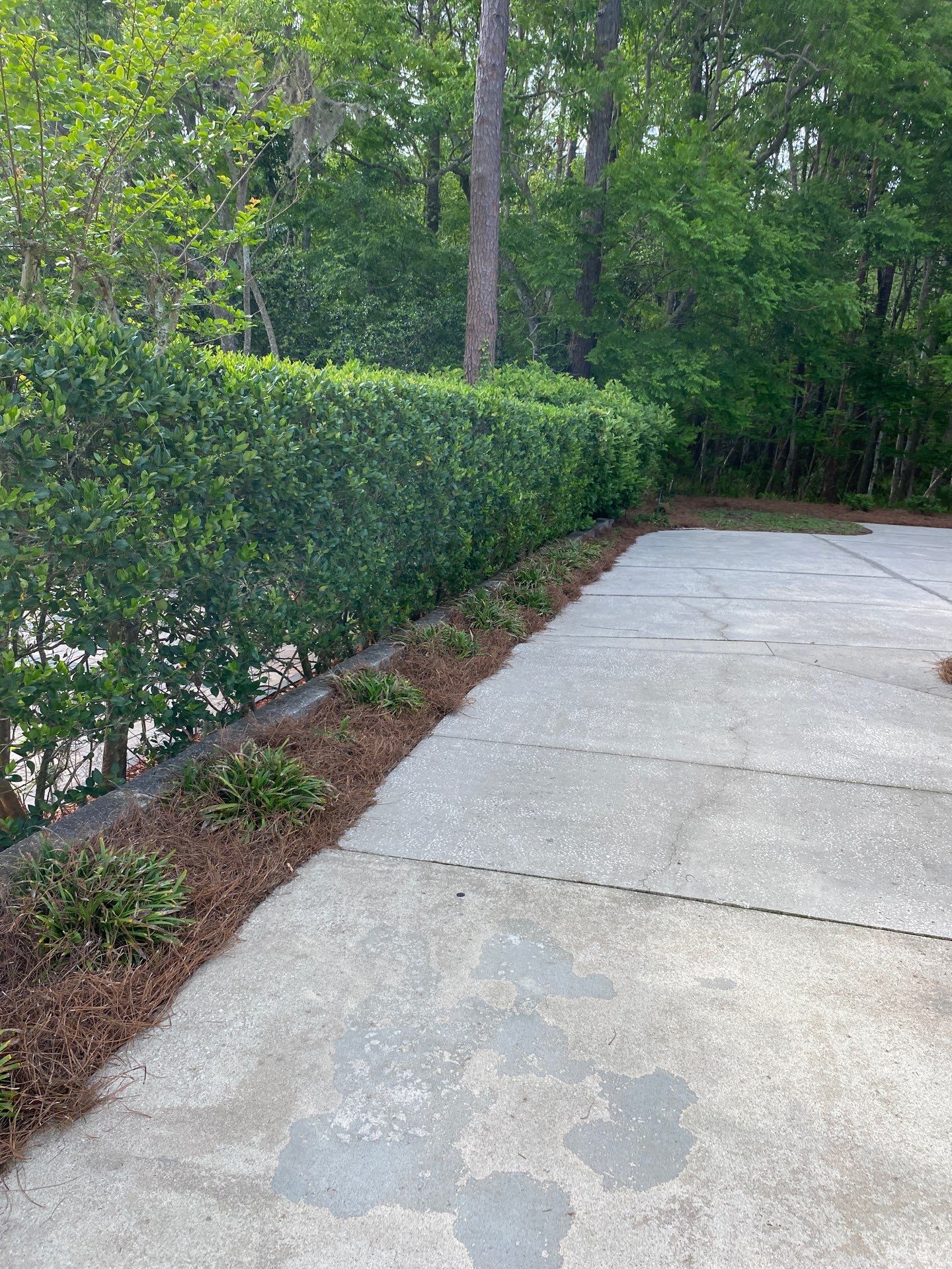 Deerwood Resident | Pine Straw Installation by ProGreen Services