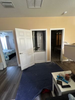 Sarasota Mold Damage 