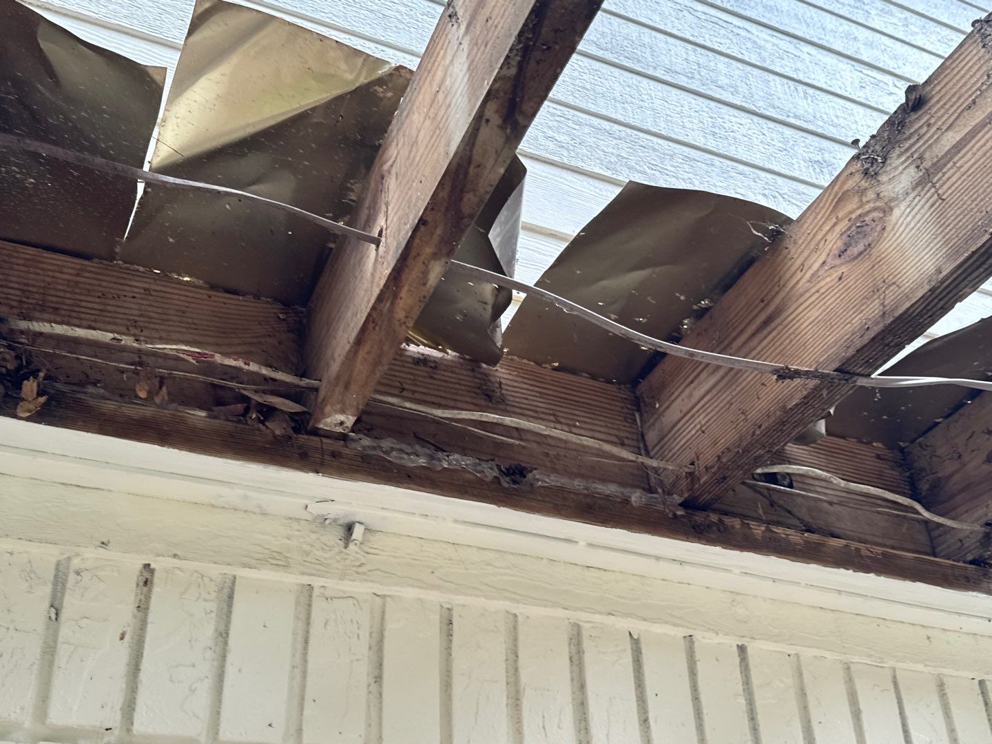 Strawberry - Deck by Pillar and Pine