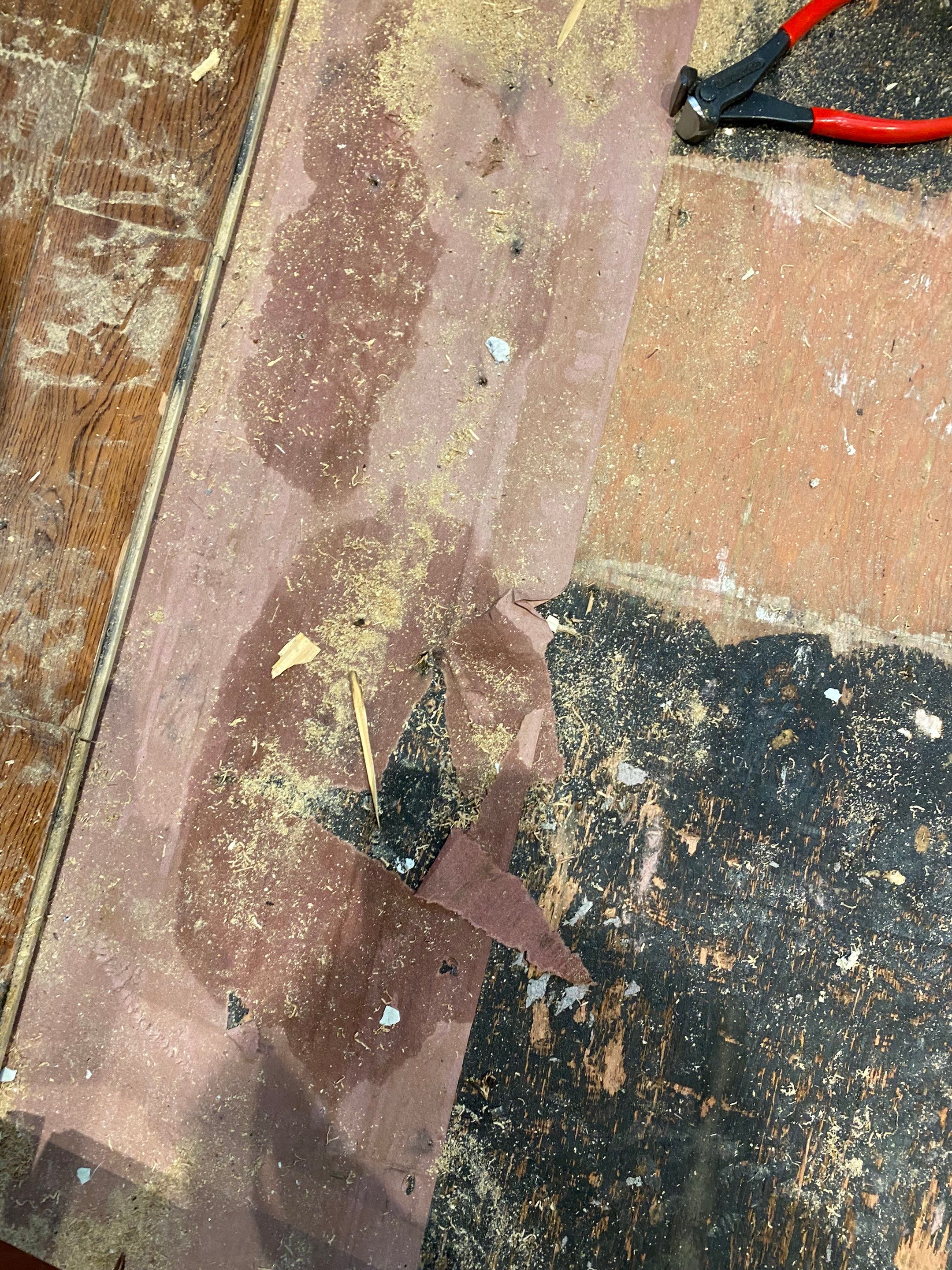 maria aguilera by Unlimited Fire Restoration