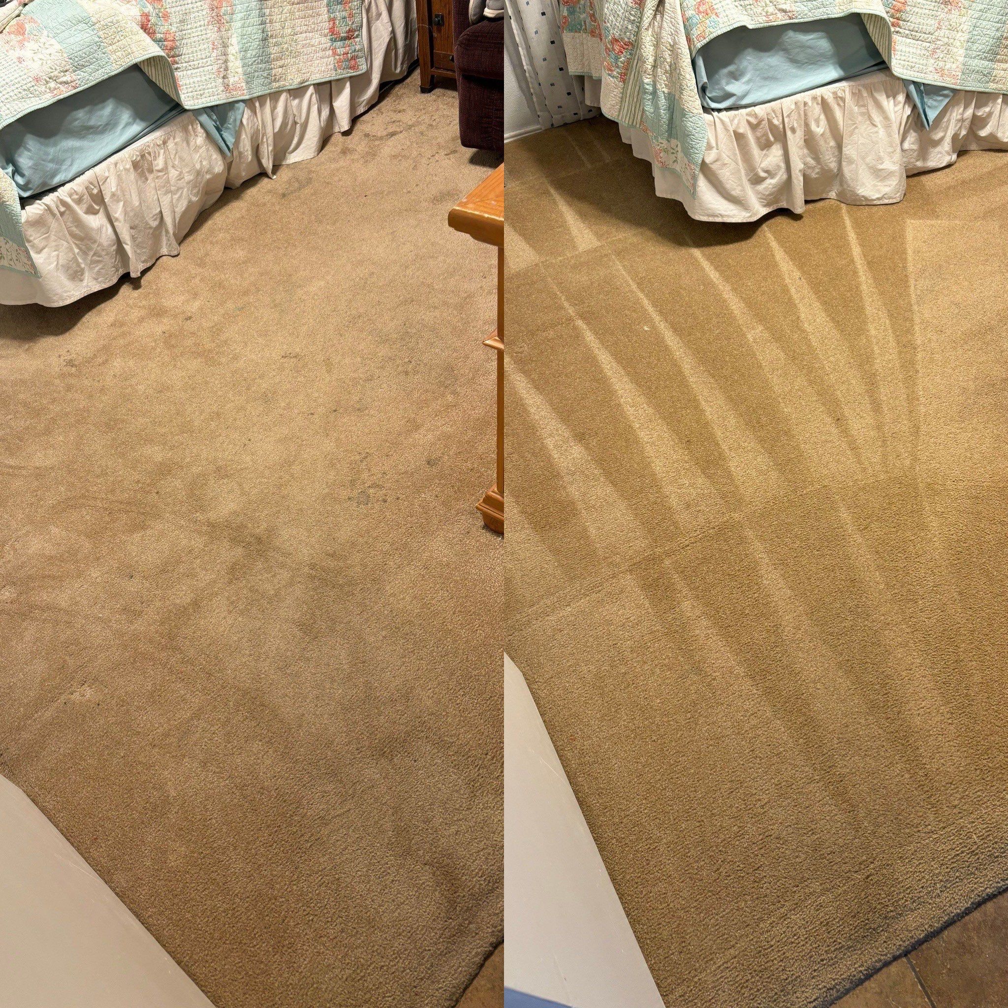 the service being done is deep carpet cleaning removing stains and restoring the carpet to a clean condition