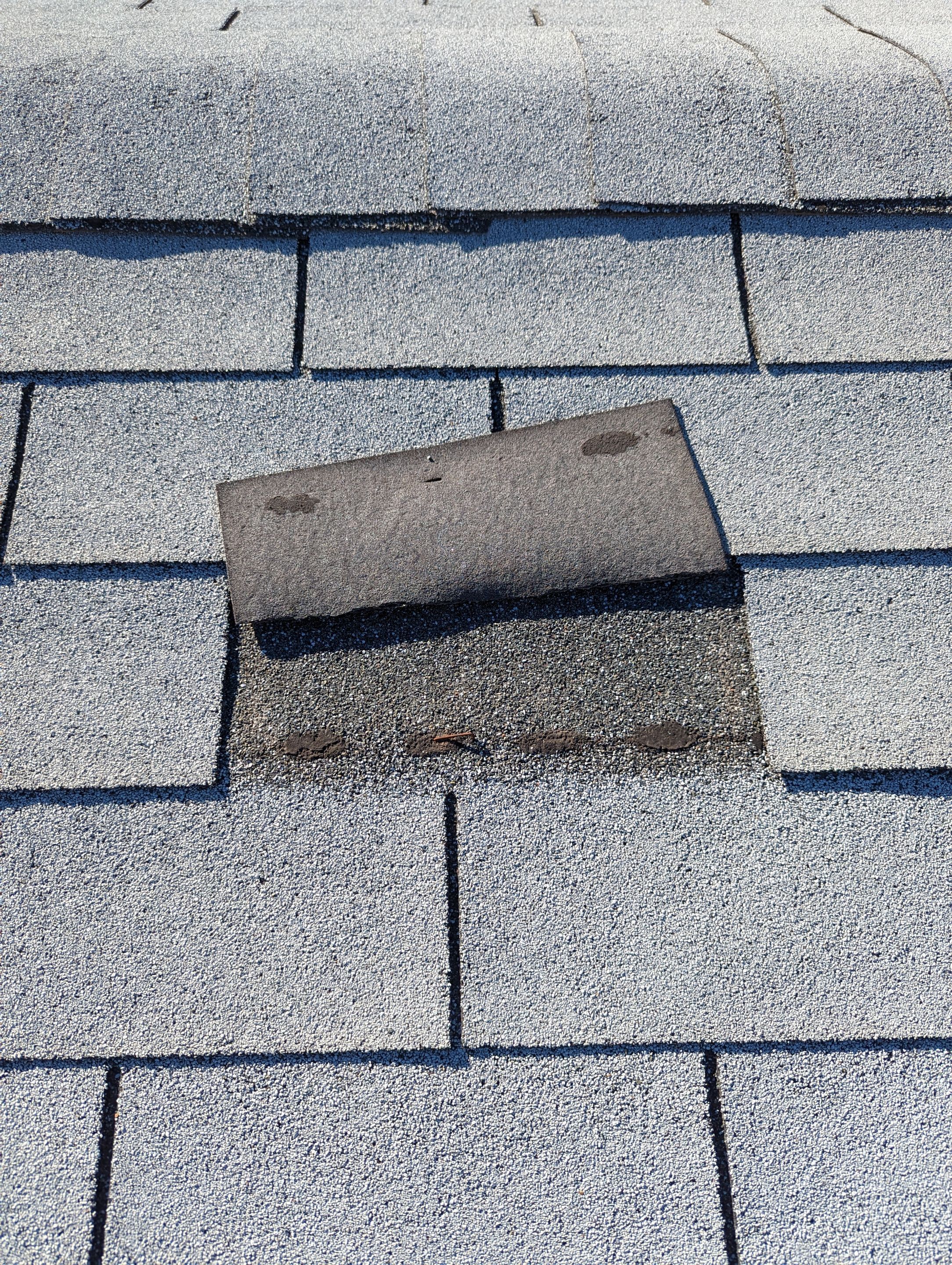 Bruce's Full Re-Roof & Shed by All Storm Roofing & Construction