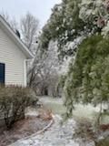 Tree Removal using Tree Removal by Mike Jones & Sons Tree Service LLC 