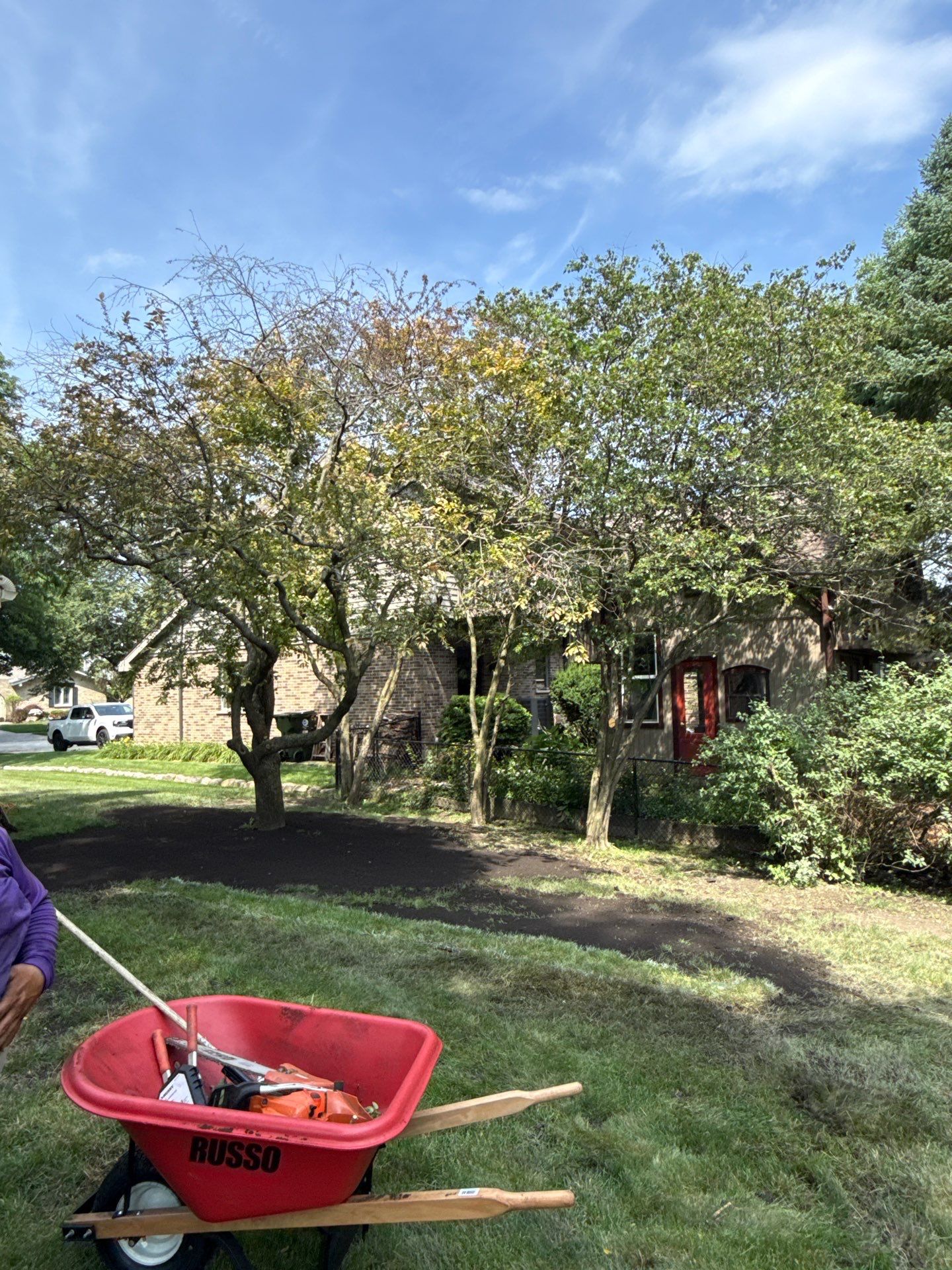 Alicia S. - Arlington Heights, IL by A&N