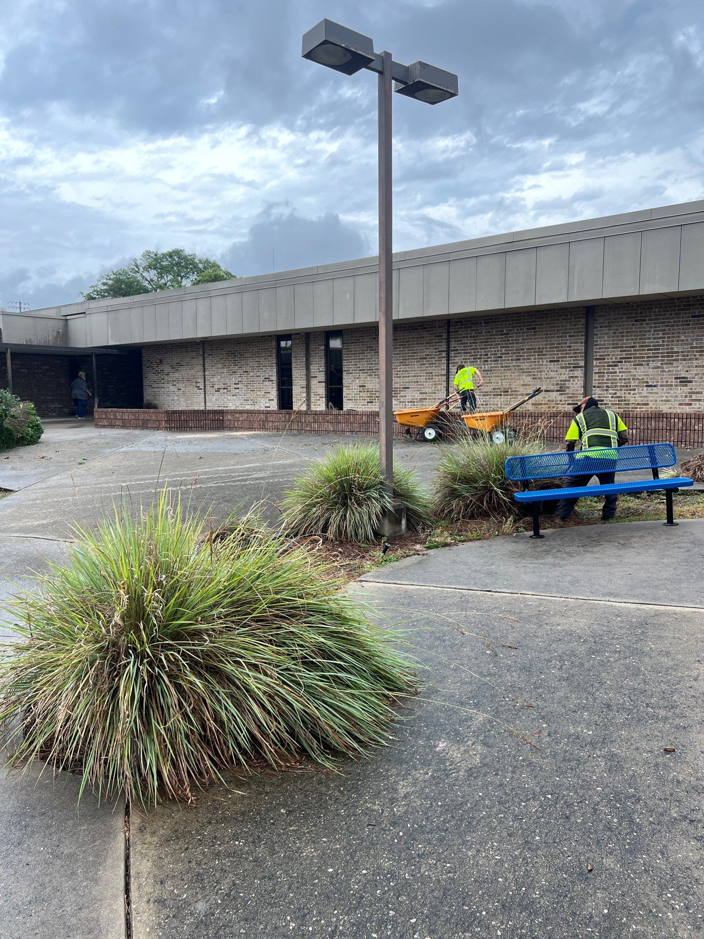 Landscape Install | Keystone Heights HS by ProGreen Services