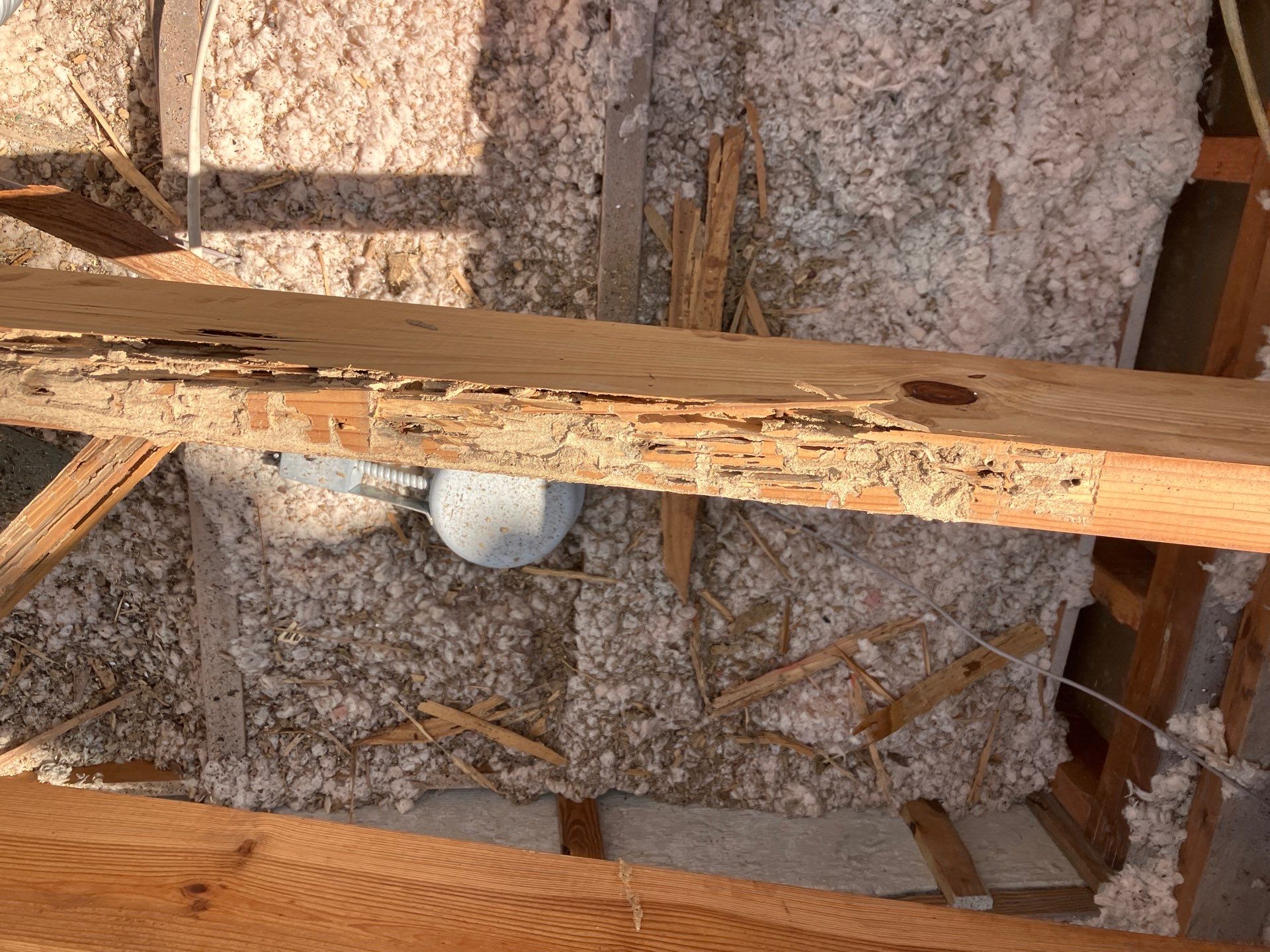 Project in Clearwater 33764 by Mitchell Roofing Company LLC