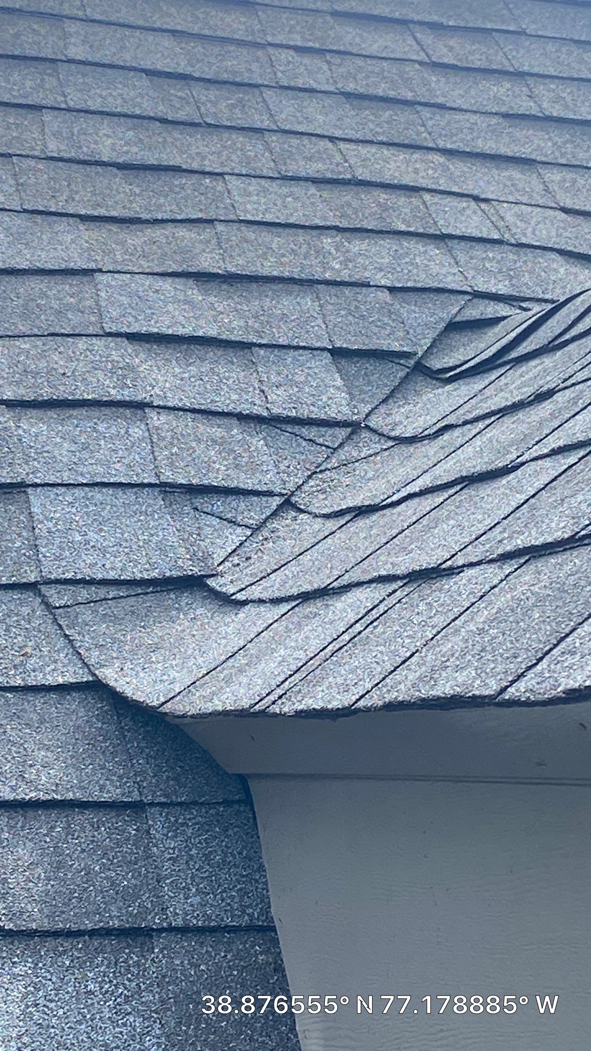 Falls Church: CertainTeed Landmark Pro Designer Shingles in Max Def Pewter by RM Banning, Inc.