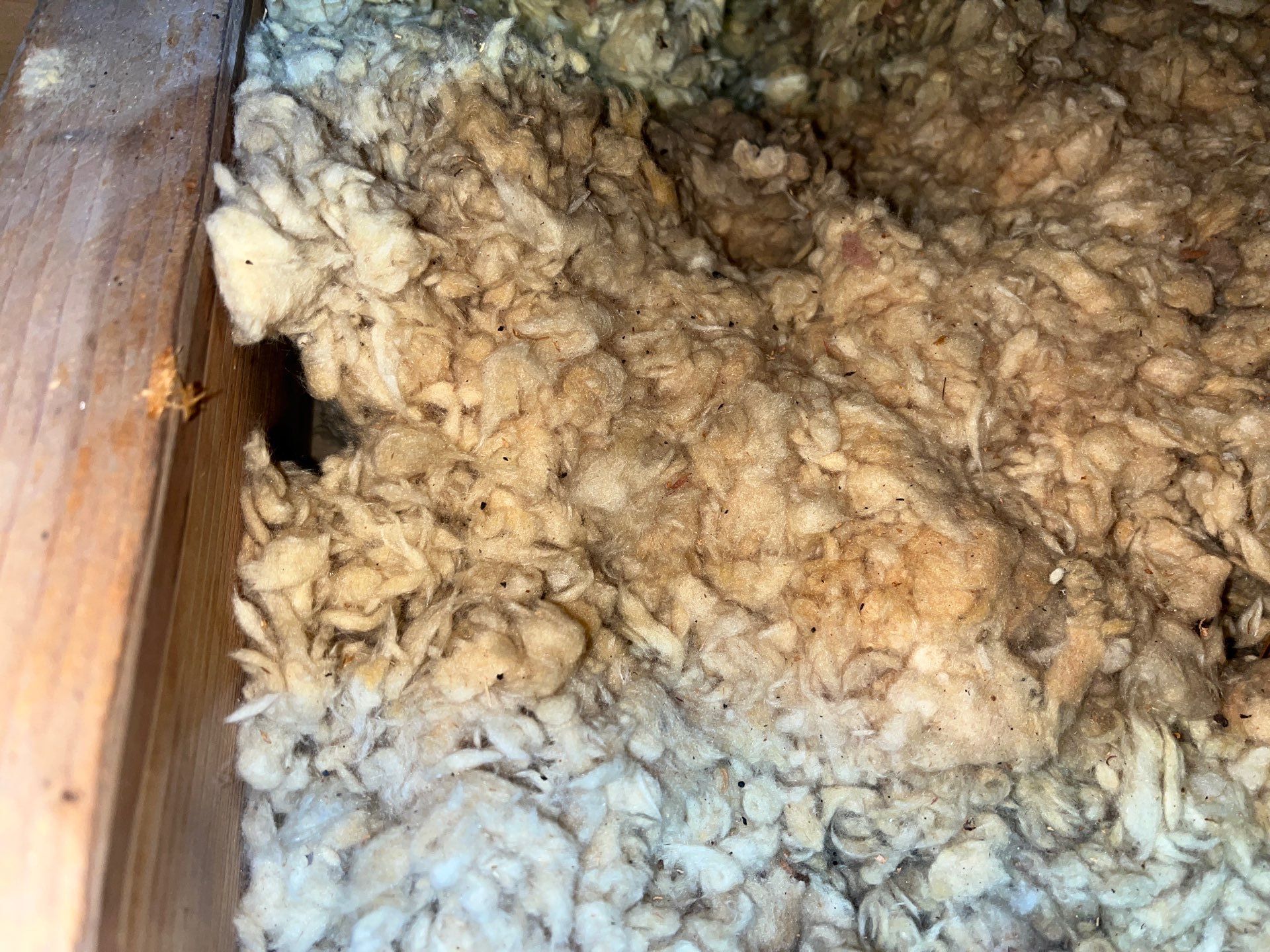 Fixing Attic Leaks and Restoring Insulation after Roof Work in Steubenville, OH by Home Environment Solutions