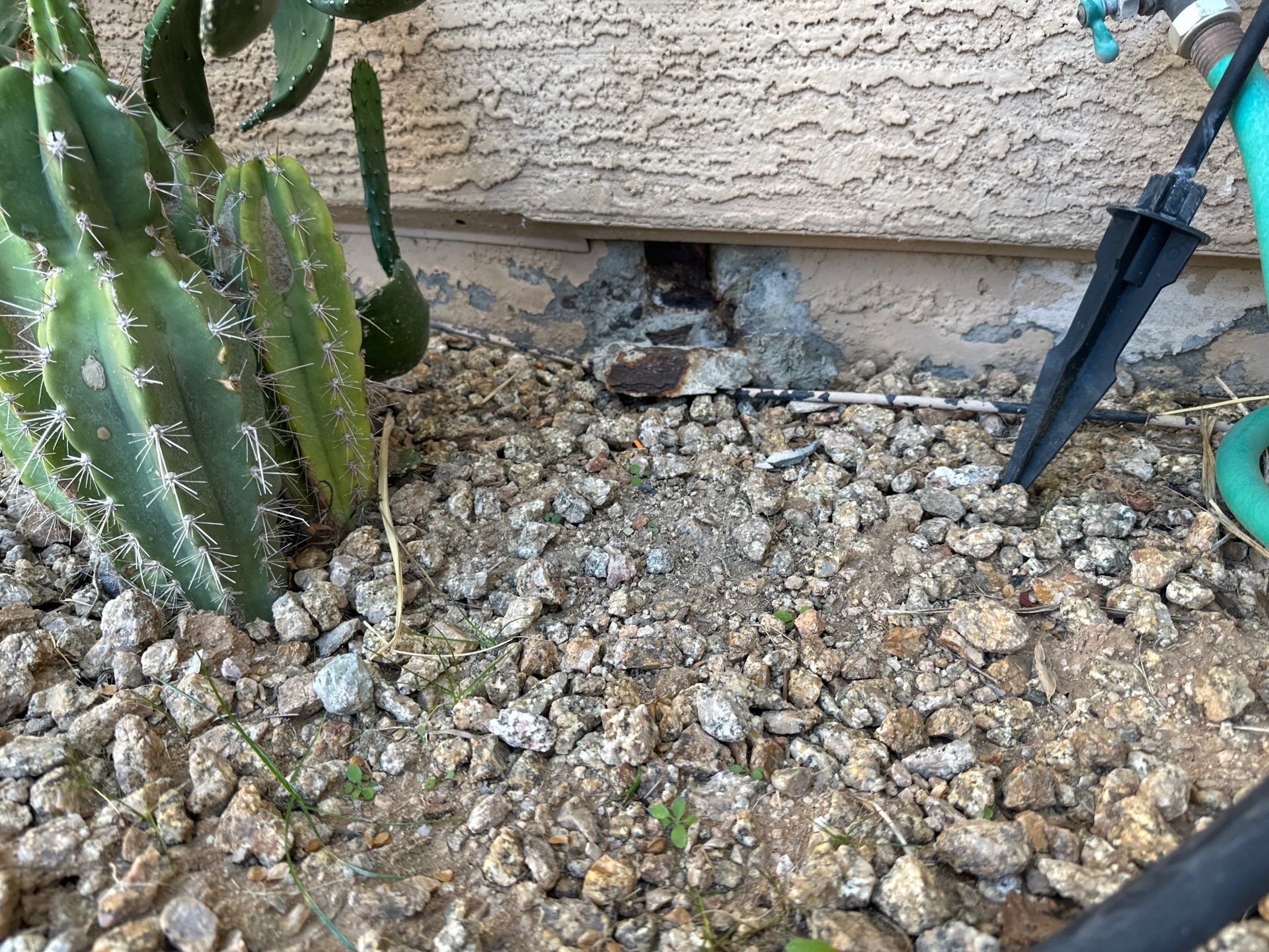 Exterior Painting - Glendale by Crash of Rhinos Painting & Garage Floors
