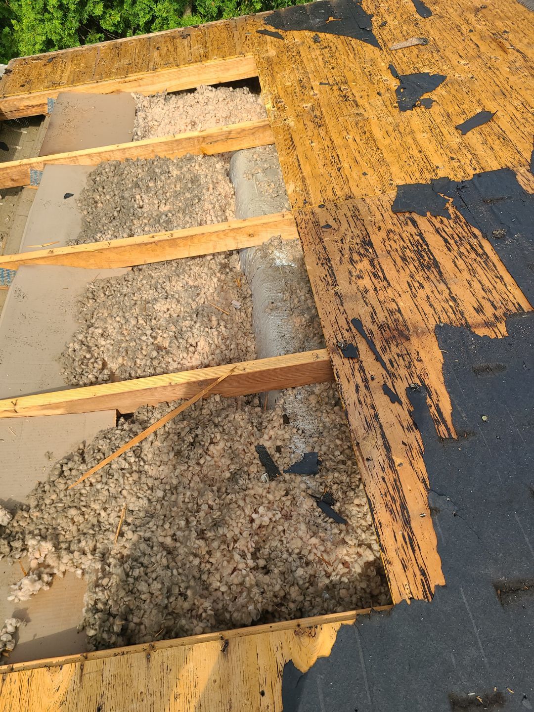 Falls Church: CertainTeed Landmark Pro Designer Shingles in Max Def Pewterwood by RM Banning, Inc.