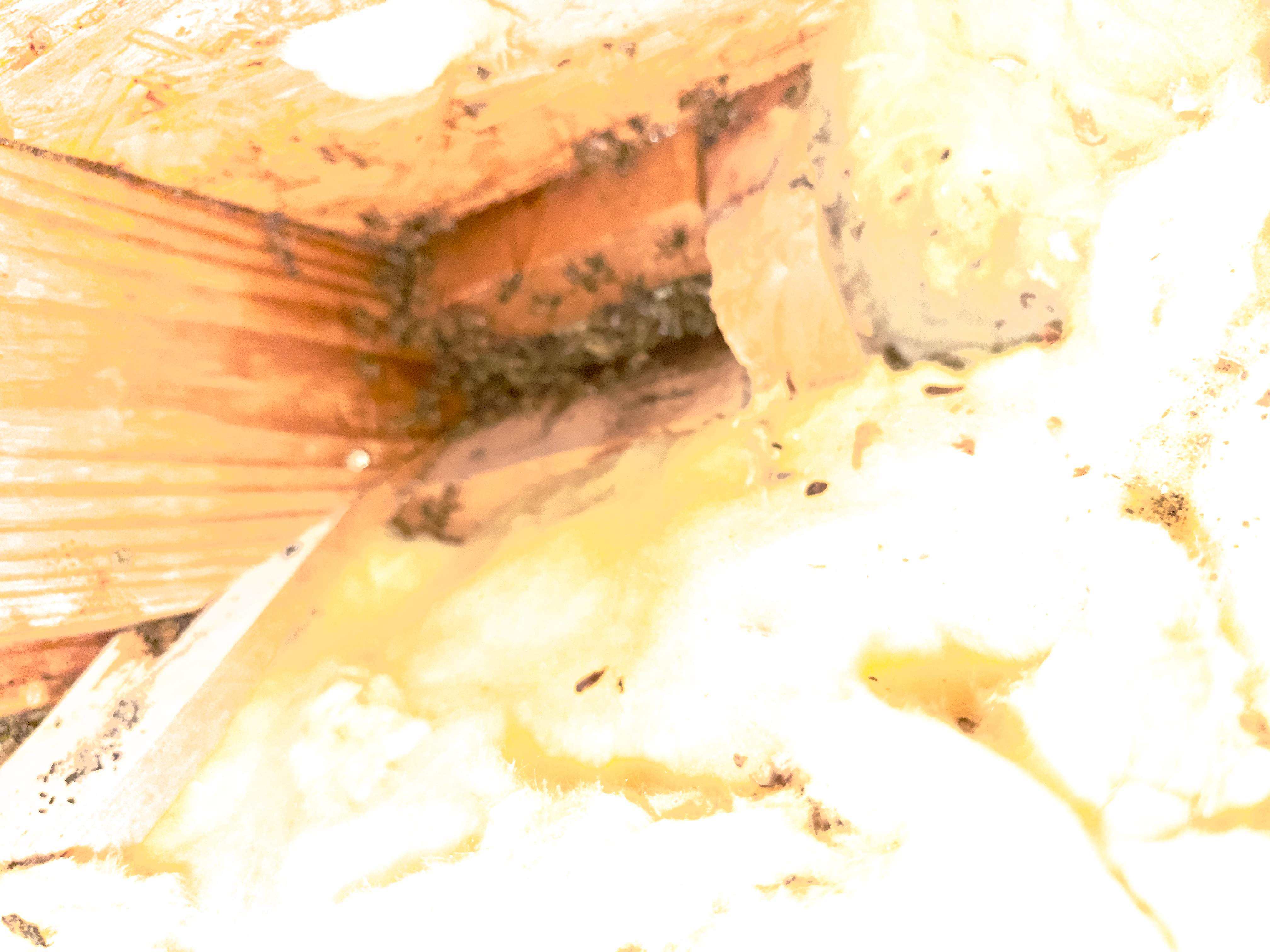 Roof Soffit by Rockwall Honey Bee Company