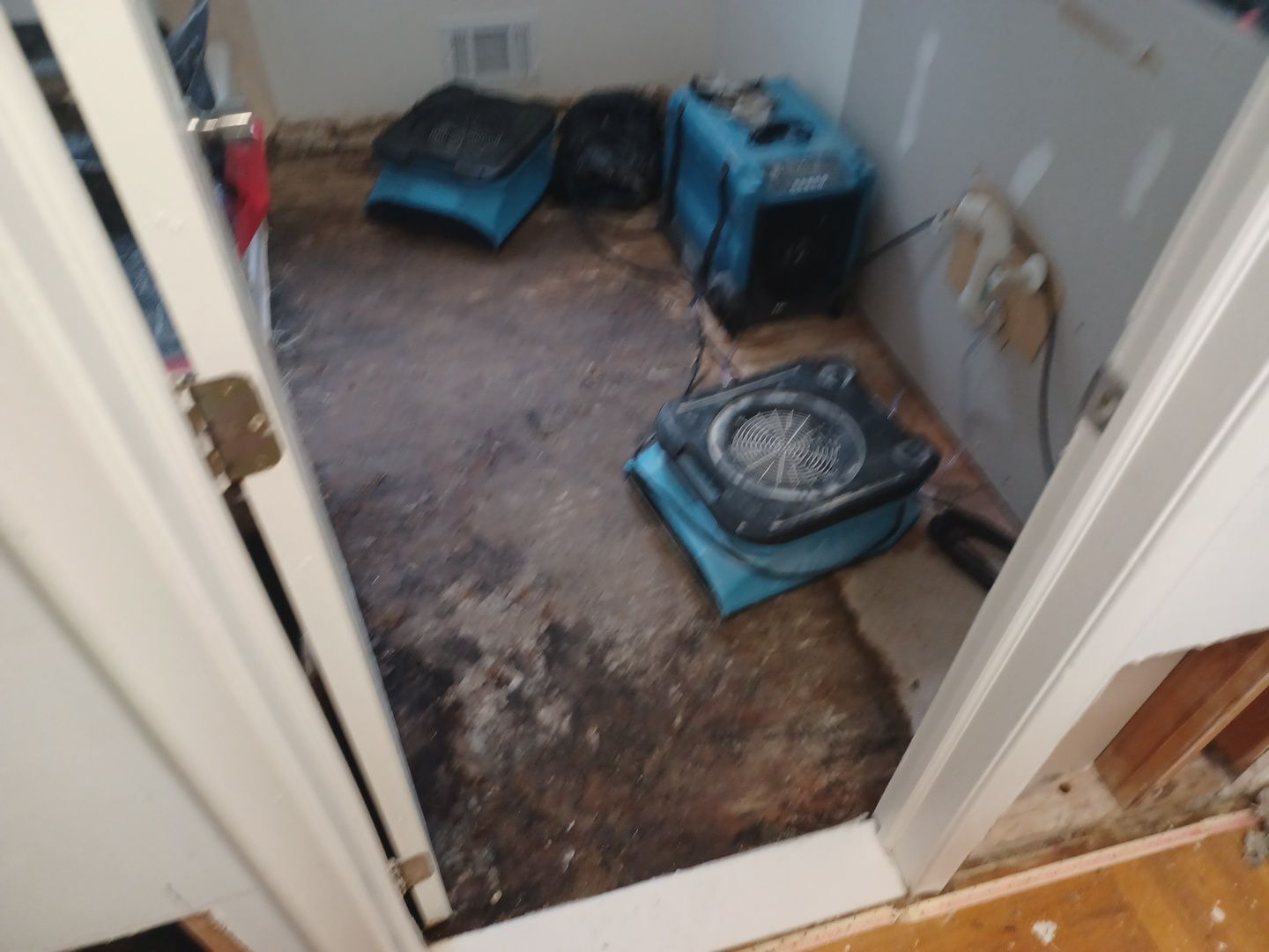 Project in Livonia by EzDry Water Mitigation & Property Restoration