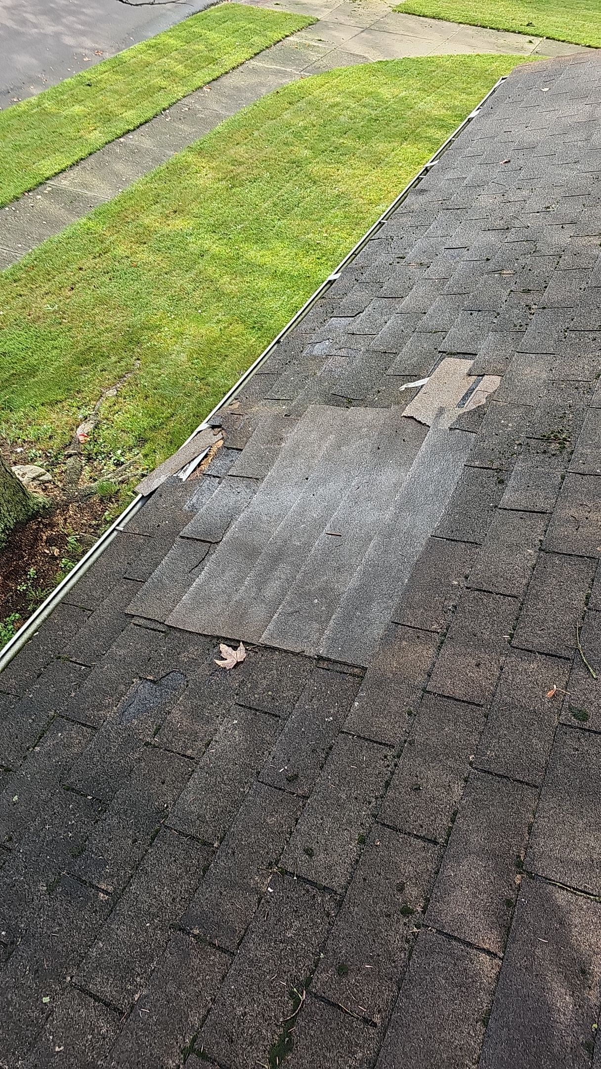 Atlas Pinnacle, Color, Copper Canyon, Drip Edge, Color, Royal Brown by Eagle Eye Roofing
