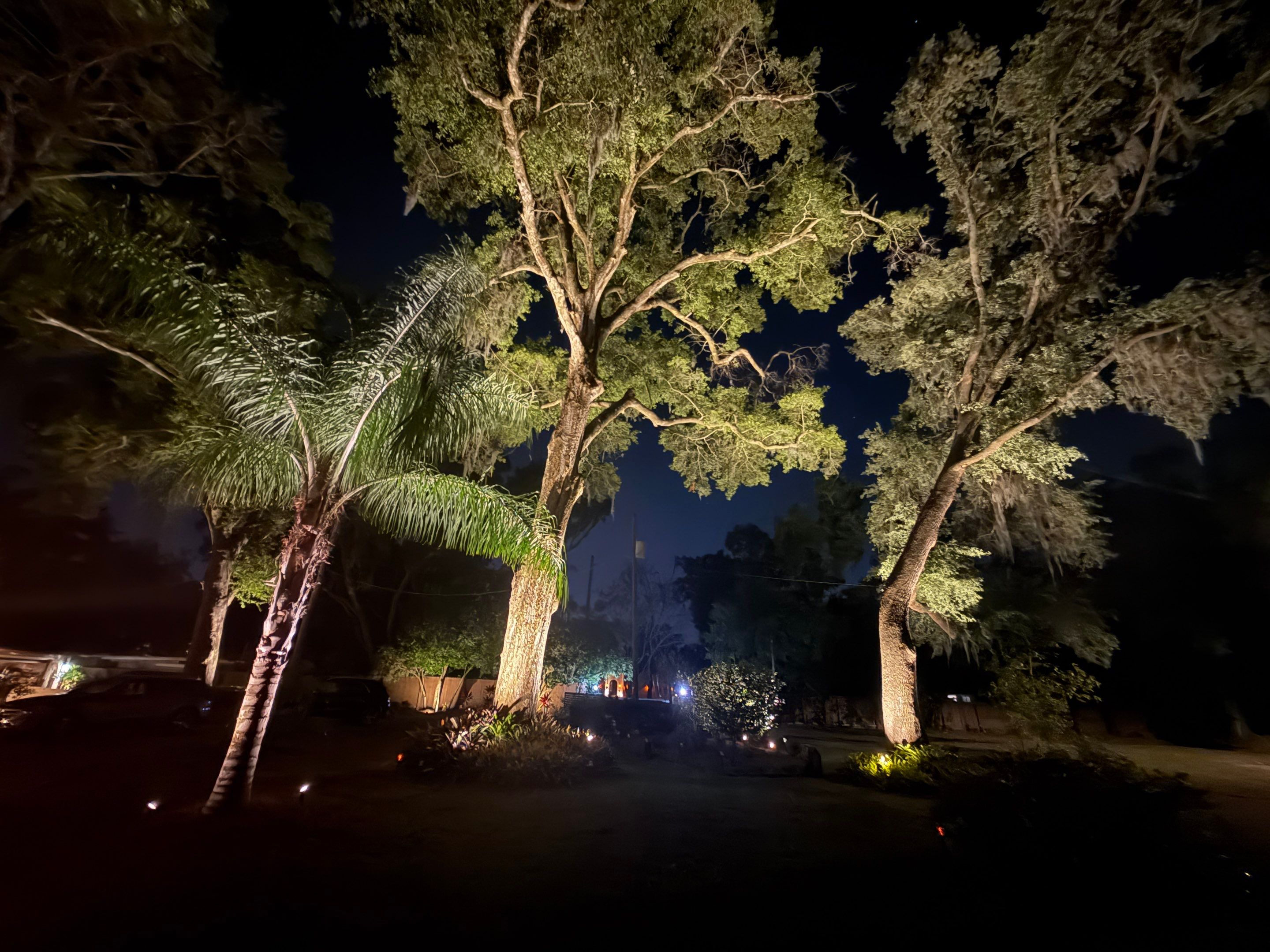 Waterfront Landscape Lighting Illumination in Odessa by Elegant Accents