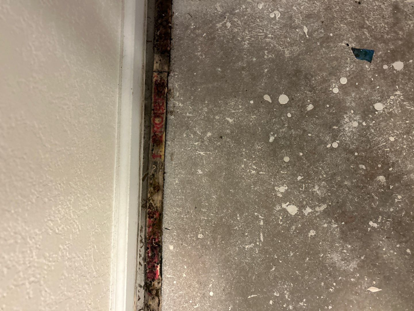 Mold Damage Project in Thornton by Accountable Home Services